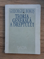 Gheorghe Bobos - Teoria generala a dreptului