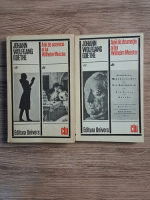 Johann Wolfgang Goethe - Anii de ucenicie ai lui Wilhelm Meister. Anii de drumetie ai lui Wilhelm Meister (2 volume)