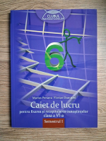 Marius Perianu - Caiet de lucru pentru fixarea si recapitularea cunostintelor. Clasa a VI-a, semestrul I