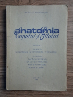 N. Diaconescu, N. Rottenberg, V. Niculescu - Anatomia capului si gatului (fascicolul 1)