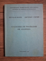 Nicolae Both - Culegere de probleme de algebra