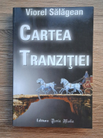 Viorel Salagean - Cartea tranzitiei