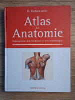 Barbara Weitz - Atlas der anatomie. Organsysteme und strukturen in 439 abbildungen