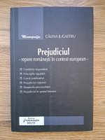Calina Jugastru - Prejudiciul. Repere romanesti in context european