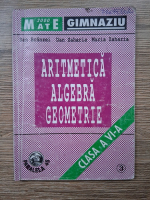 Dan Branzei - Aritmetica, algebra, geometrie, clasa a VI-a, partea a III-a