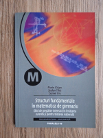 Florin Cirjan - Structuri fundamentale in matematica de gimnaziu. Ghid de pregatire intensiva in invatarea curenta si pentru testarea nationala
