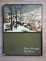 Gerhard W. Menzel - Pieter Bruegel der Altere