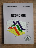 Anticariat: Gheorghe Manea, Ion Popescu - Economie