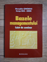 Gheorghita Caprarescu, George Buca Chendi - Bazele managementului. Caiet de seminar