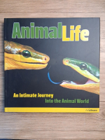 Heidi Koch, Hans-Jurgen Koch - Animal life. An intimate journey into the animal world