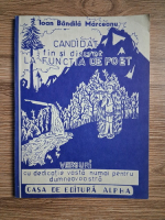 Ioan Bandila Marceanu - Candidat fin si discret la functia de poet