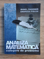 Anticariat: Irinel Radomir - Analiza matematica. Culegere de probleme