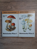 Katharina Bickerich-Stoll - Heimische pilze (2 volume)