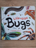 Life-size. Bugs