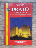 Prato in and around. Itineraries, ideas, information and useful addresses for your leisure time
