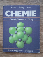 Walter Botsch, Erich Hofling, Jurgen Mauch - Chemie in versuch, theorie und ubung