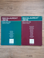 Bacacalaureat 2010. Matematica M1 si M2, modele de subiecte (2 volume)