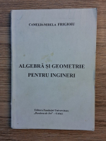 Camelia Mirela Frigioiu - Algebra si geometrie pentru ingineri