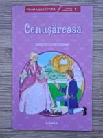 Cenusareasa. Povesti cu pictograme