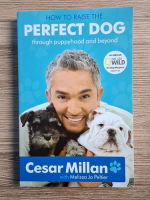 Cesar Millan - How to raise the perfect dog through puppyhood and beyond