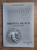 Claudiu Mihnea Drumea - Dreptul muncii. Curs universitar