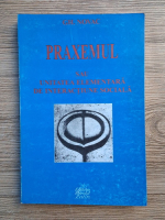 Gheorghe Novac - Praxemul sau unitatea elementara de interactiune sociala