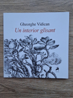 Gheorghe Vidican - Un interior glisant