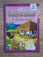 Invat sa citesc, nivelul 0. In curtea mea (dupa Emil Garleanu)