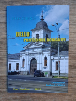 Ioan Ciorca - Bellu, Panteonul Romaniei