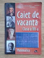 Nitu Angela - Matematica, clasa a VII-a. Caiet de vacanta
