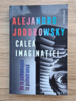 Alejandro Jodorowsky - Calea imaginatiei. De la psihomagie la psihotransa