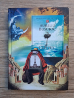 Aureliu Busuioc - Culori