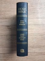 Holy Bible (2013)