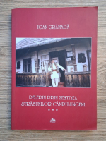 Ioan Gramada - Pelerin prin zestrea strabunilor campulungeni (volumul 3)