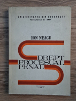 Ion Neagu - Drept procesual penal