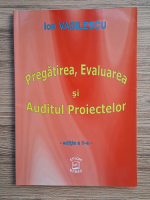 Ion Vasilescu - Pregatirea, evaluarea si auditul proiectelor