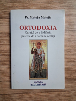 Mateja Matejic - Ortodoxia. Curajul de a fi diferit, puterea de a ramane acelasi