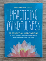 Matthew Sockolov - Practicing mindfulness. 75 essential meditations 