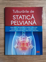 Traian Enache - Tulburarile de statica pelviana