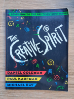 Daniel Goleman - The creative spirit