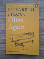 Elizabeth Strout - Olive, again