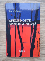 Geo Galetaru - Apele noptii spre dimineata