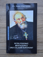 Ioan Gherasim - Pentru Pogonat. Meditatiunile unui calugar surghiunit