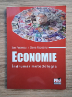Anticariat: Ion Popescu - Economie. Indrumar metodologic