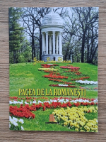 Jianu Liviu-Florian - Pacea de la Romanesti