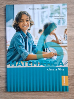 Maria-Daniela Stoica - Matematica, clasa a VI-a