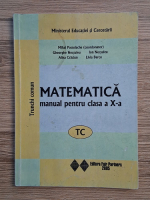Mihai Postolache - Matematica. Trunchi comun. Manual pentru clasa a X-a