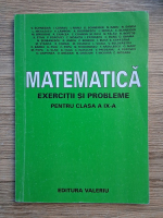 V. Schneider - Matematica. Exercitii si probleme pentru clasa a IX-a