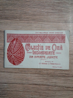 Colectie de oua incondeiate din diferite judete adunate de Maria I. Panaitescu (1925)