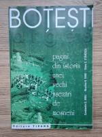 Anticariat: Constantin Dinu - Botesti, Arges. Pagini din istoria unei vechi asezari de mosneni